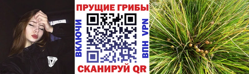 Галлюциногенные грибы мухоморы  закладки  Красный Кут 